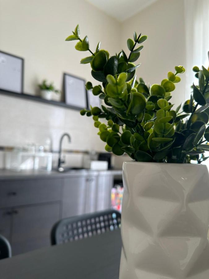 Caiazzo Diverso Apartment מראה חיצוני תמונה